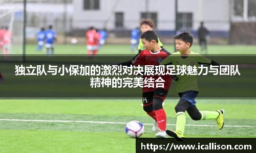 竞技宝jjb